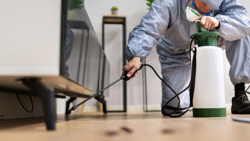 Fix Schädlingsbekämpfung Aachen - Kammerjäger-Blog (5)